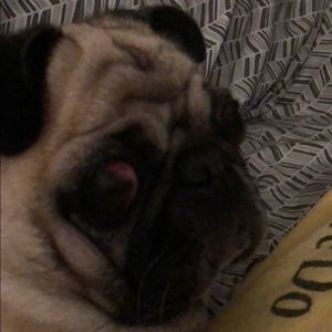 Meet your Posher, Candace